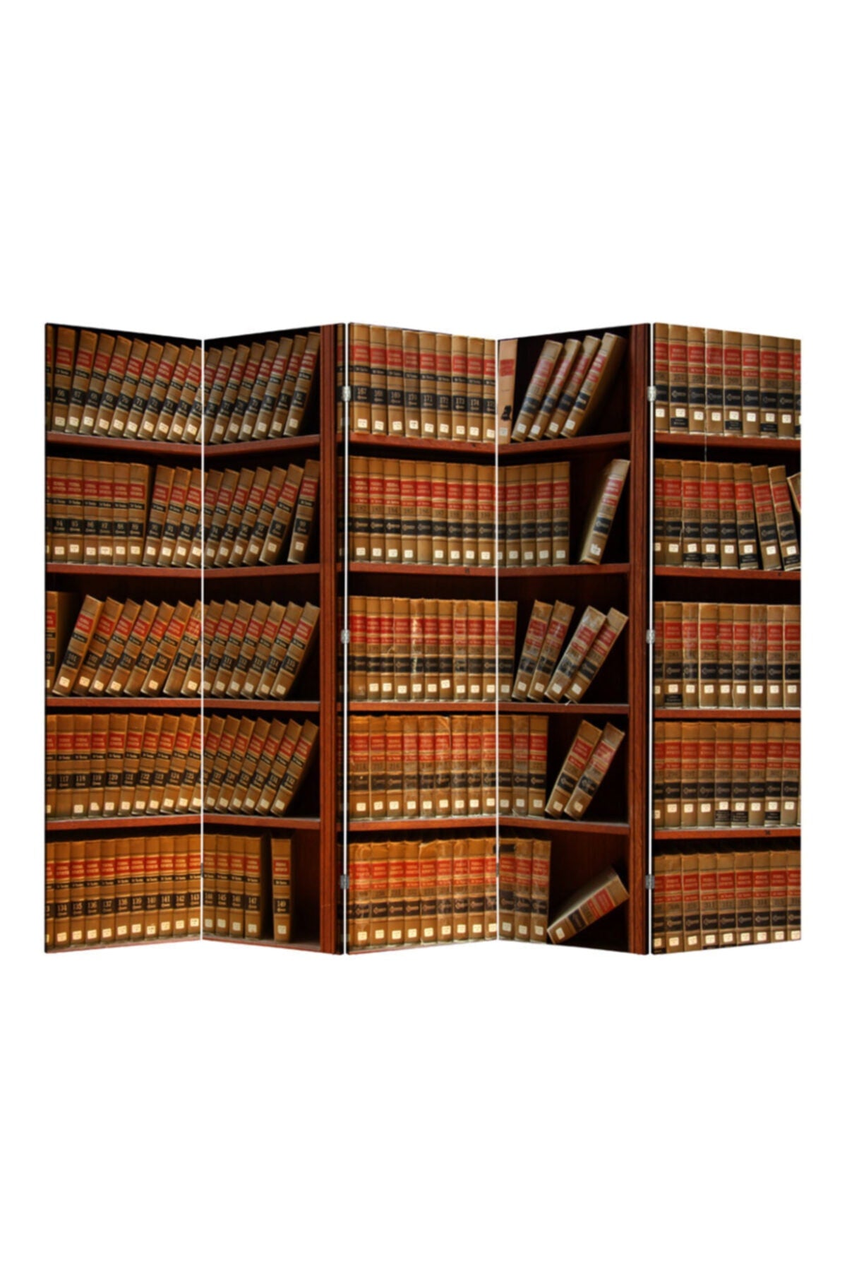 Bookshel Library 5 Kanatlı Oda Bölücü Çift Taraflı Kanvas Paravan