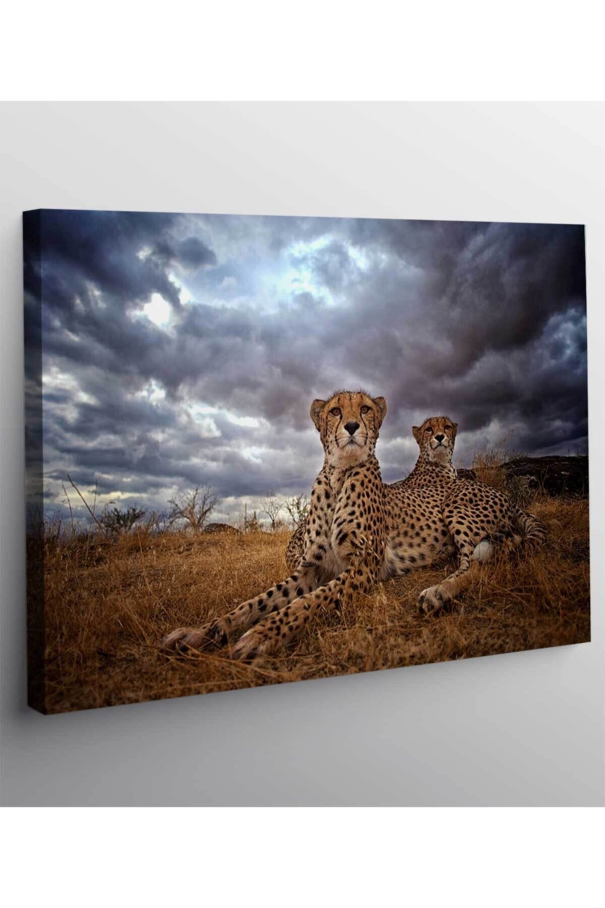 Leopar Kanvas Tablo