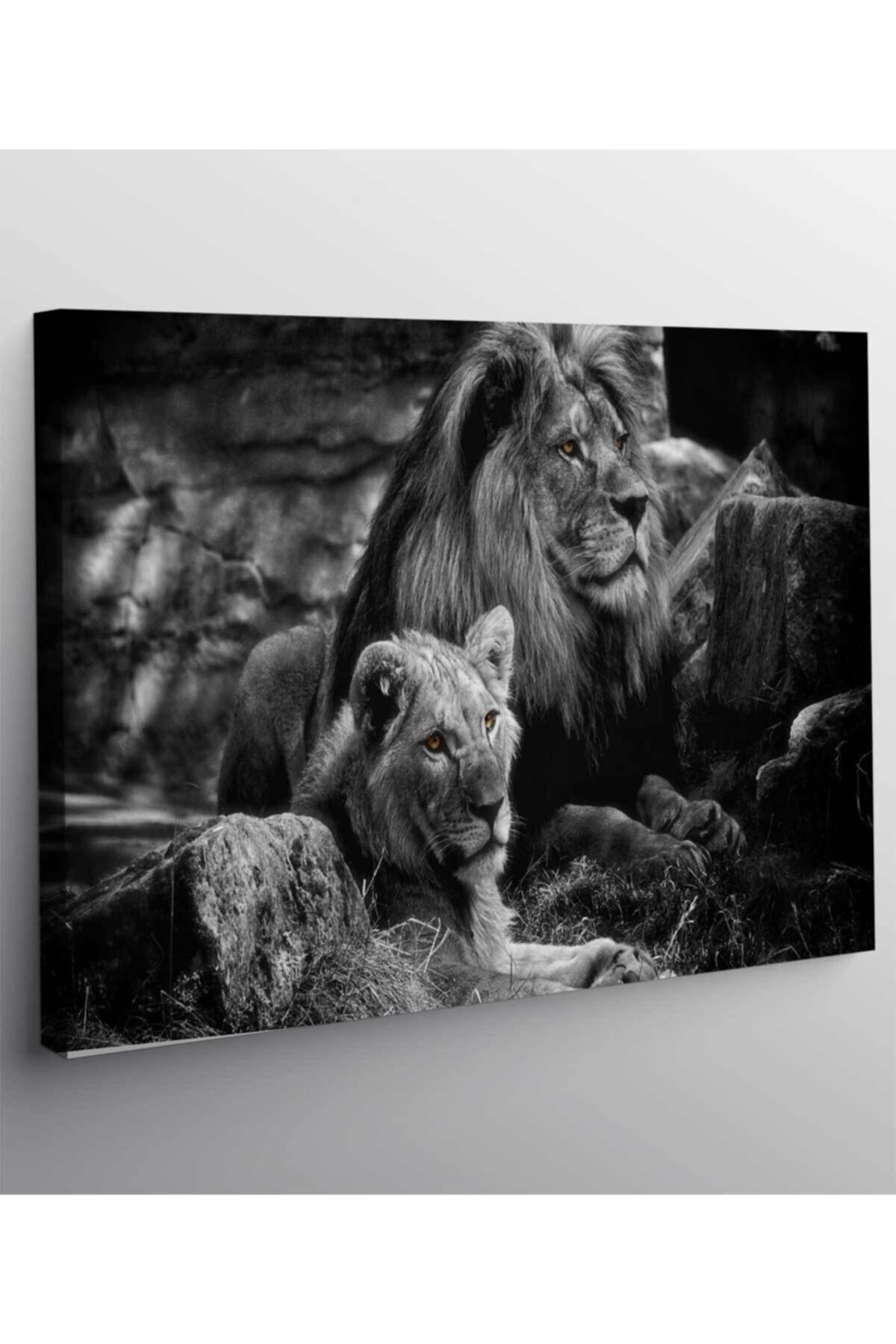 Aslan Leopar Kanvas Tablo