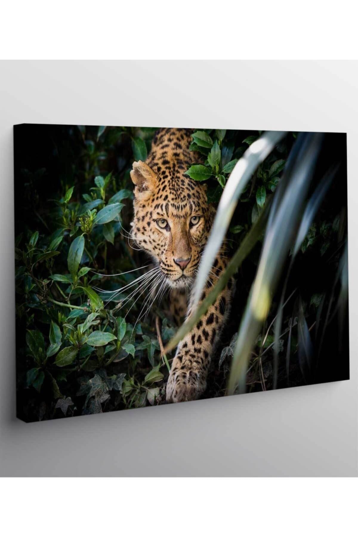 Leopar Sanat Kanvas Tablo