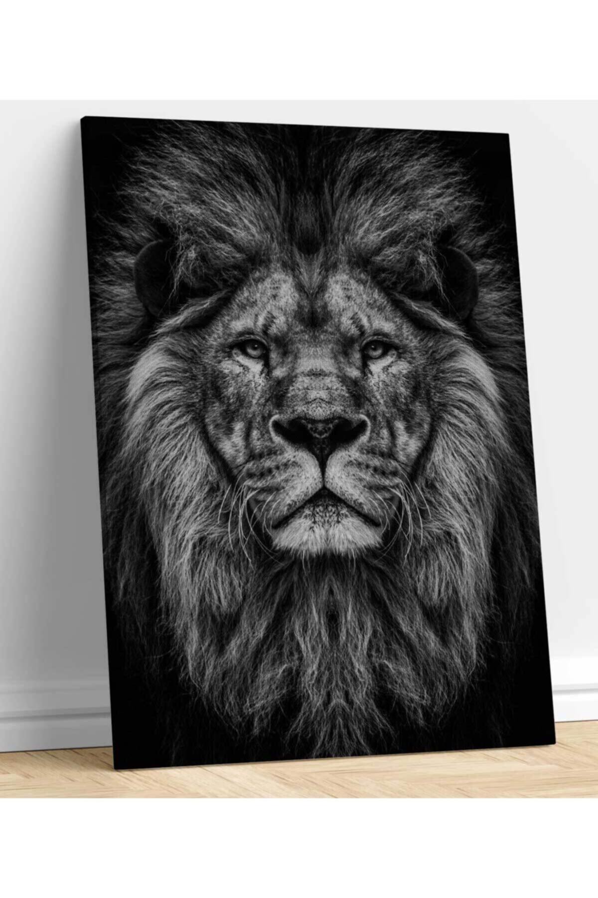Aslan Kanvas Tablo