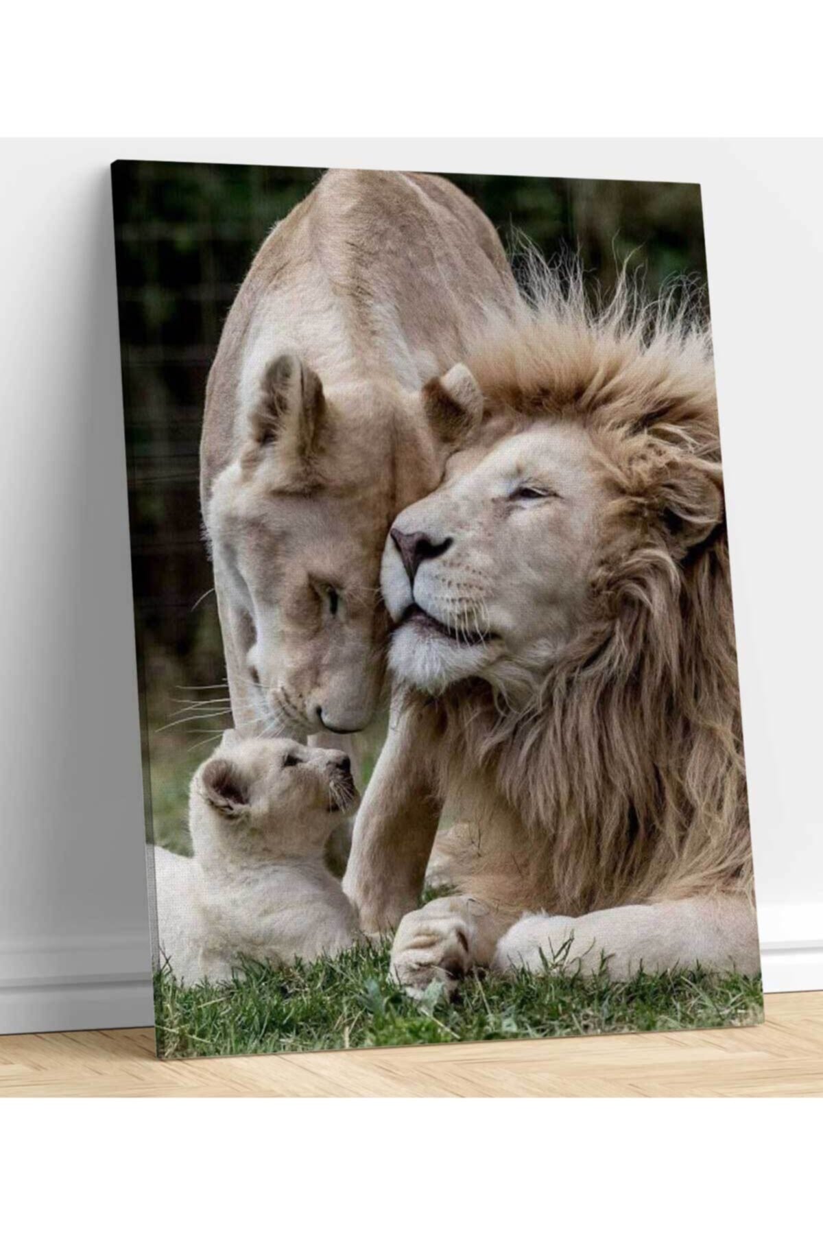Aile Aslan Kanvas Tablo 70 x 100 cm