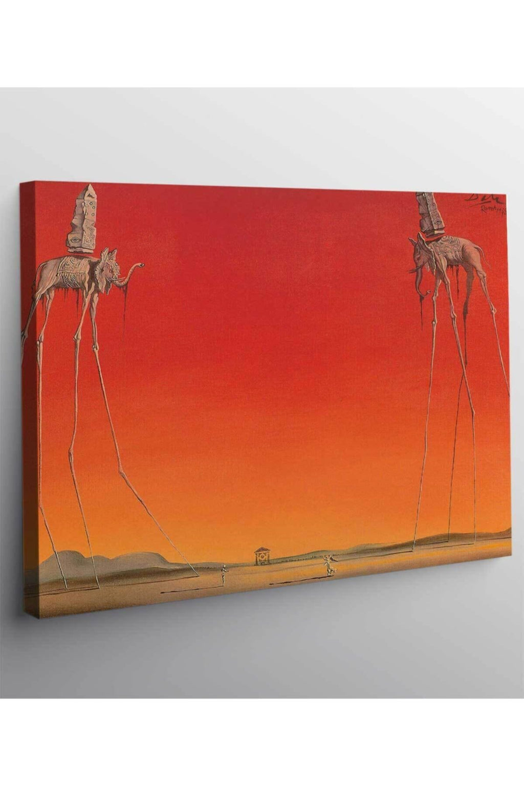 Salvador Dali Filler Kanvas Tablo